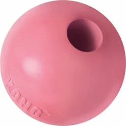 Kong Puppy Bal Met Gat Assorti