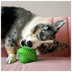 Kong Squeezz Orbitz Spin Top Assorti M/L -Goedkope DierenwereldXL winkel 0201904 3