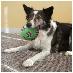 Kong Sneakerz Sport Soccer Ball M -Goedkope DierenwereldXL winkel 0201905 2