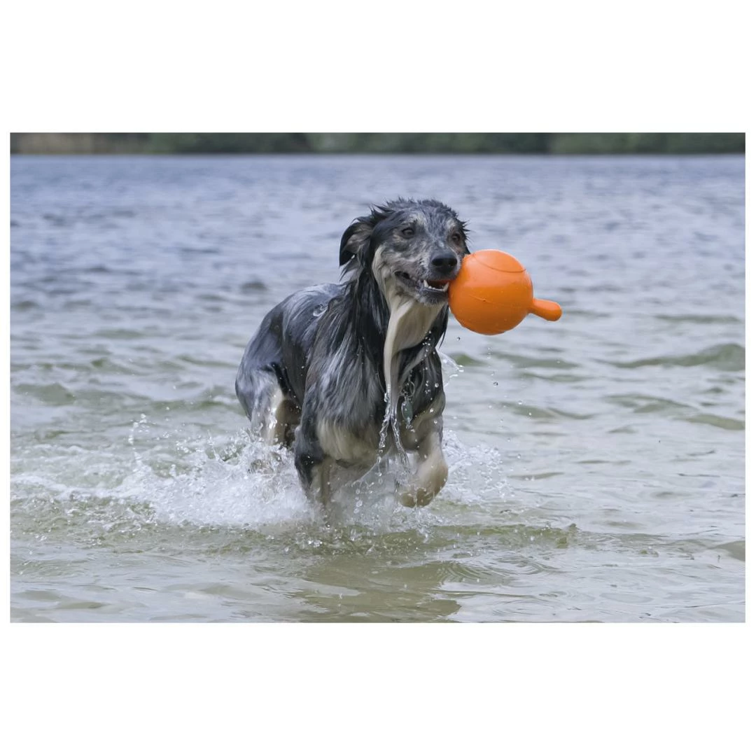 Beeztees Apportino Bal 2 Beeztees Apportino Bal - Afbeelding 2