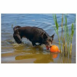 Beeztees Apportino Bal 7 Beeztees Apportino Bal -Goedkope DierenwereldXL winkel 0625880 3