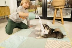 Beeztees Puppy Flostouw Pullina Groen -Goedkope DierenwereldXL winkel 0641270 sfeer2