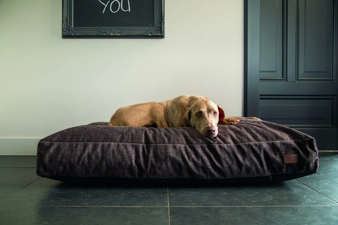 Designed By Lotte Hondenkussen Unnay Bruin 2 Designed By Lotte Hondenkussen Unnay Bruin - Afbeelding 2