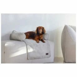 Designed By Lotte Bankkussen Ribbed Lichtgrijs 7 Designed By Lotte Bankkussen Ribbed Lichtgrijs -Goedkope DierenwereldXL winkel 0716272 3