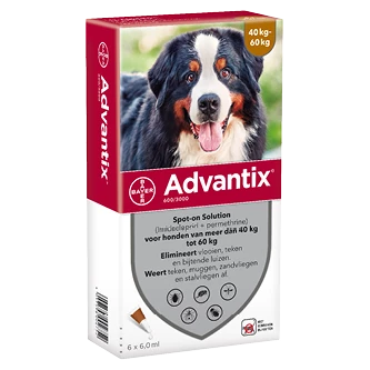 Advantix 600 6 Pipetten 1 Advantix 600 6 Pipetten