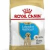 Royal Canin Hondenvoer Labrador Retriever Puppy 12 Kg