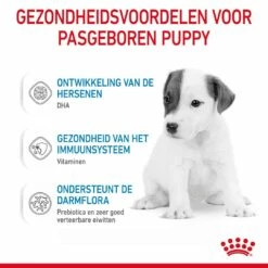 Royal Canin Hondenvoer Babydog Milk 400 Gr -Goedkope DierenwereldXL winkel 3182550768658 3
