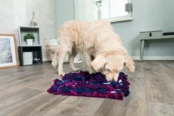 TRIXIE Dog Activity Snuffelmat -Goedkope DierenwereldXL winkel 32037 21