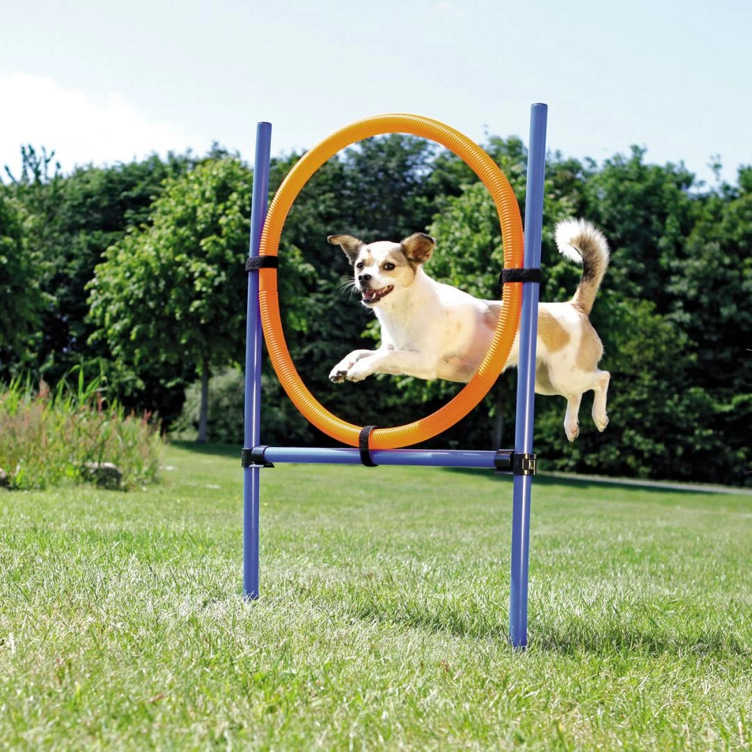 TRIXIE Dog Activity Agility Ring 2 TRIXIE Dog Activity Agility Ring - Afbeelding 2