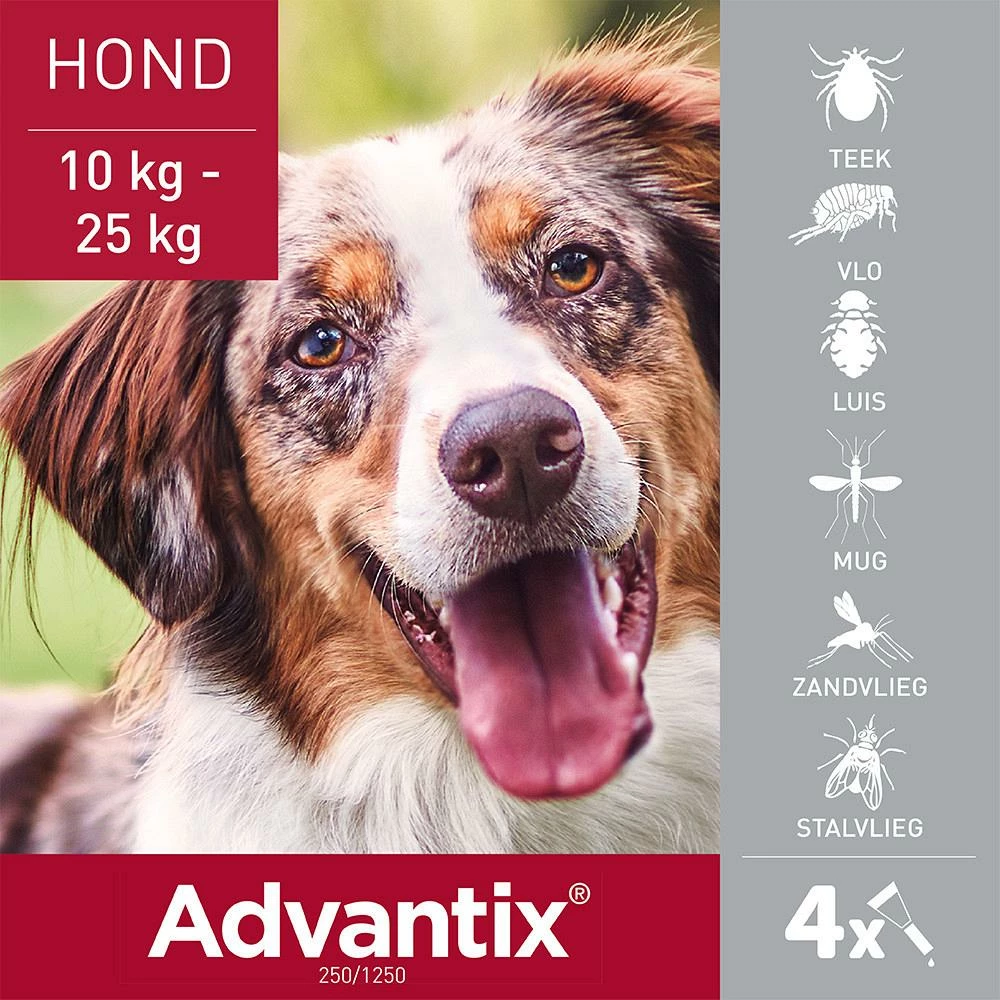 Advantix 250 4 Pipetten 2 Advantix 250 4 Pipetten - Afbeelding 2