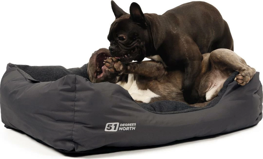 51 Degrees North Hondenmand Storm Imperial Grey 2 51 Degrees North Hondenmand Storm Imperial Grey - Afbeelding 2