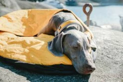 Hurtta Slaapzak Outback Dreamer Orange/silver 7 Hurtta Slaapzak Outback Dreamer Orange/silver -Goedkope DierenwereldXL winkel 6410329327100 38 39 met hond 1