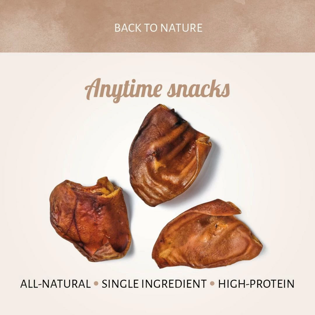 Antos Varkensoren 10 St 2 Antos Varkensoren 10 St - Afbeelding 2