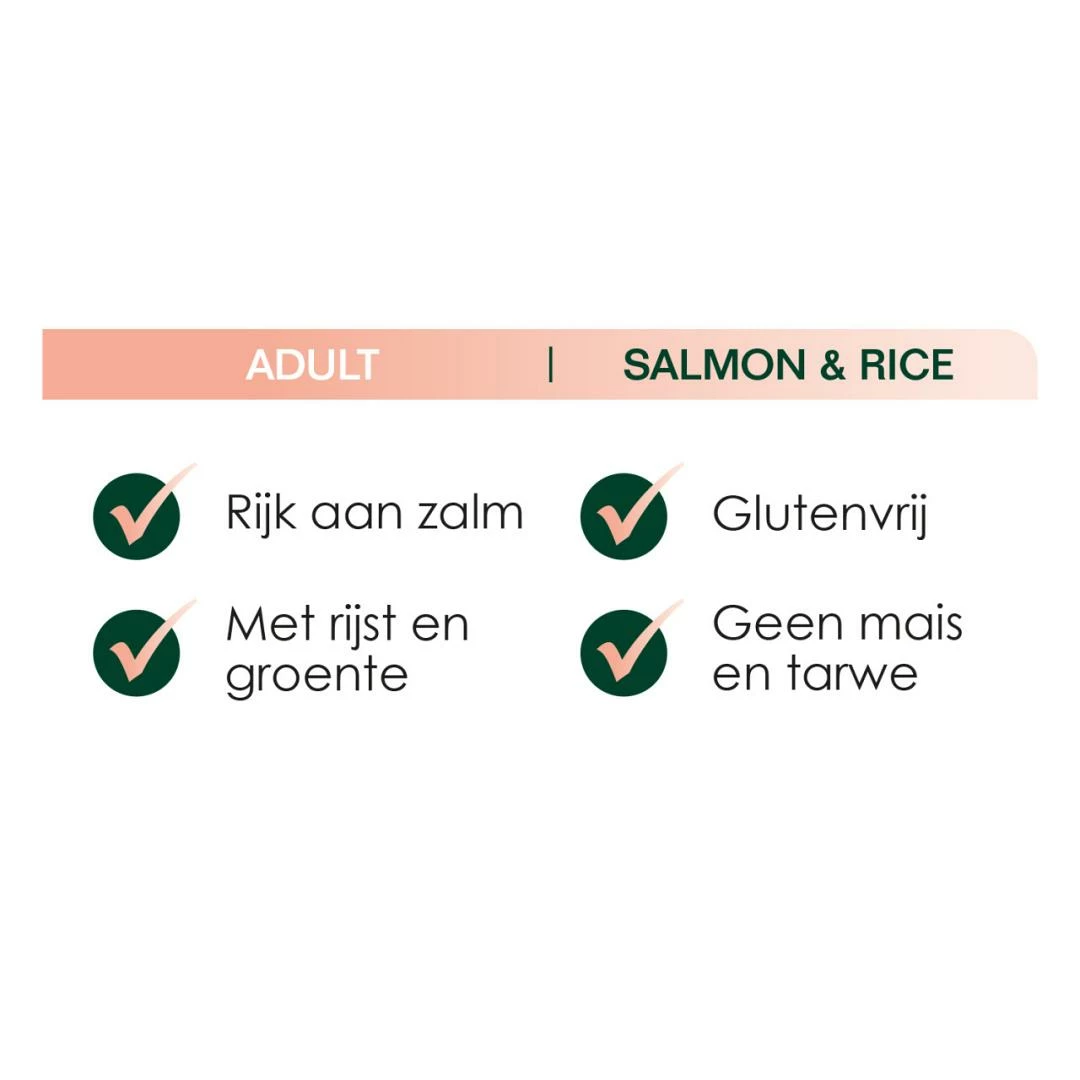 Premium Care Original Adult Salmon & Rice 3 Kg 2 Premium Care Original Adult Salmon & Rice 3 Kg - Afbeelding 2
