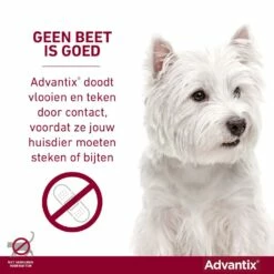 Advantix 250 6 Pipetten -Goedkope DierenwereldXL winkel Advantix geenbeetisgoed