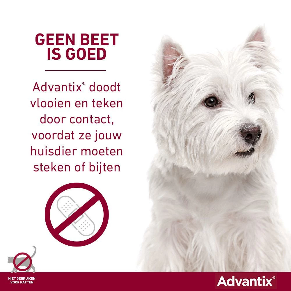 Advantix 400 6 Pipetten 4 Advantix 400 6 Pipetten - Afbeelding 4