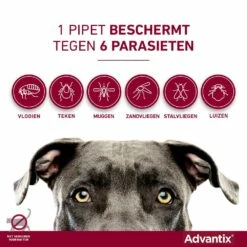 Advantix 600 4 Pipetten 6 Advantix 600 4 Pipetten -Goedkope DierenwereldXL winkel Advantix pipettegen6parasieten 4