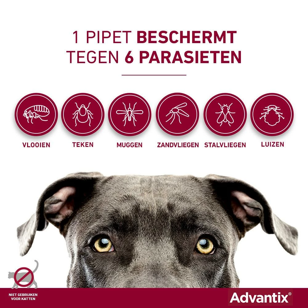 Advantix 600 4 Pipetten 3 Advantix 600 4 Pipetten - Afbeelding 3