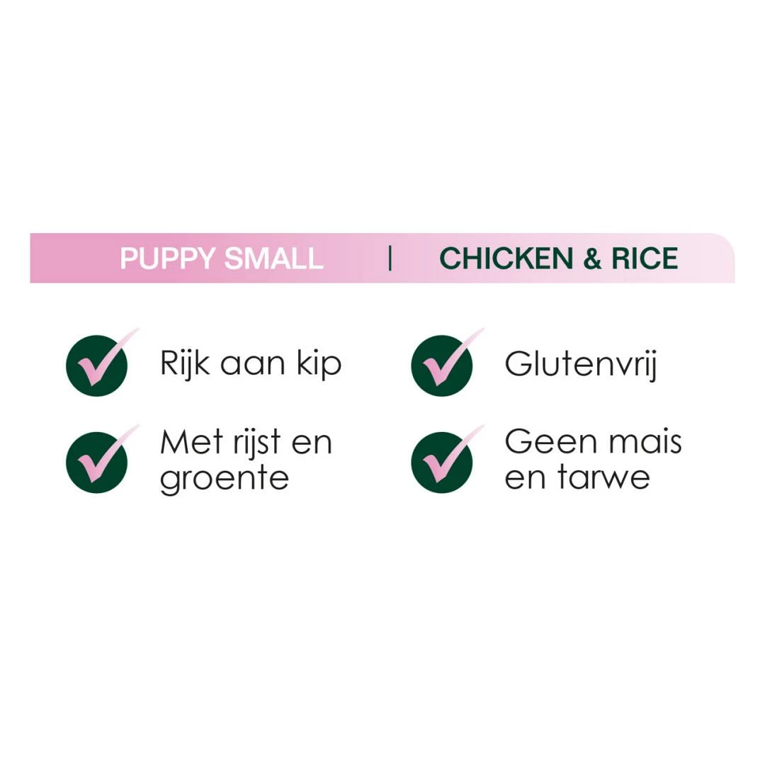 Premium Care Original Puppy Small Chicken & Rice 3 Kg 2 Premium Care Original Puppy Small Chicken & Rice 3 Kg - Afbeelding 2