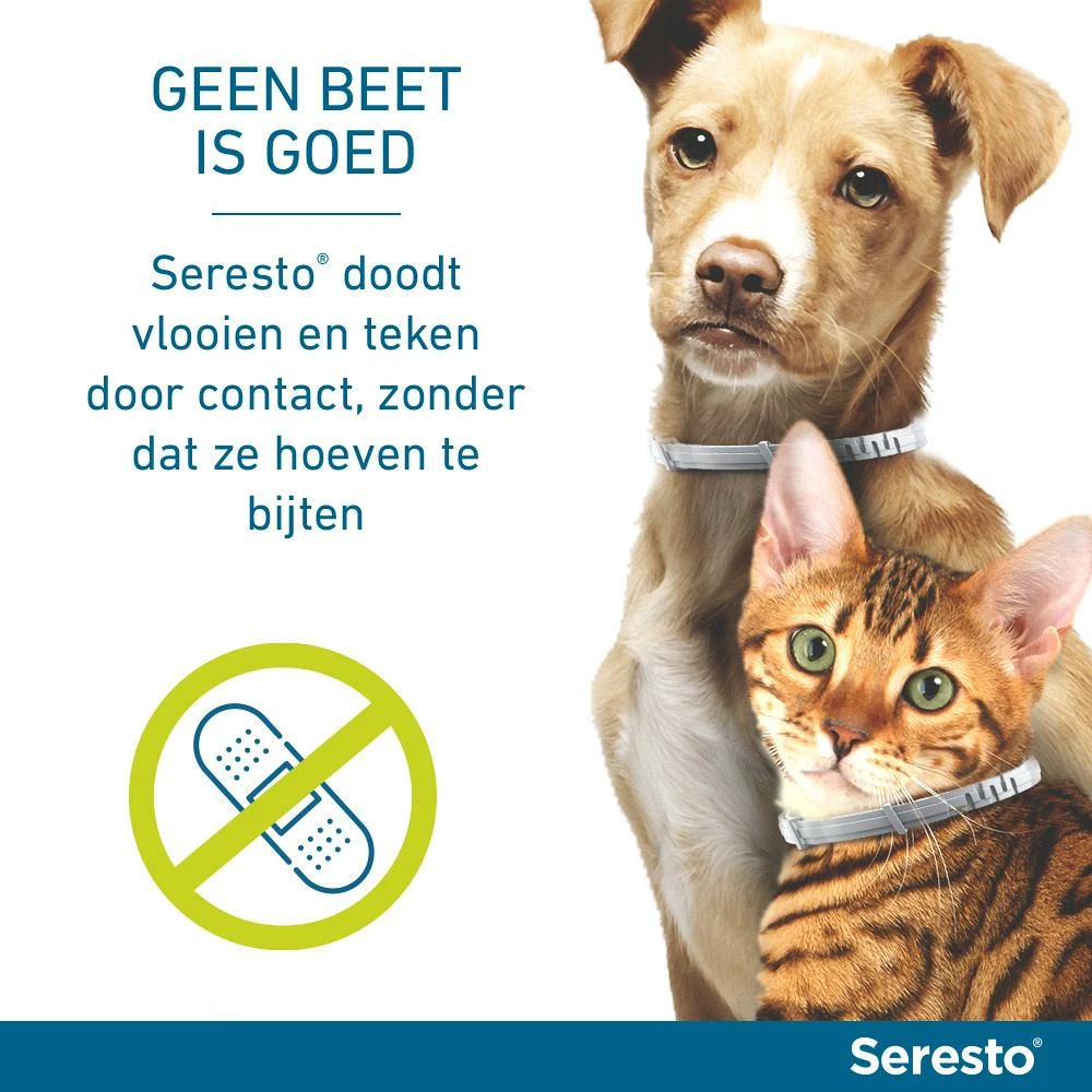 Seresto Band Voor Grote Honden 4 Seresto Band Voor Grote Honden - Afbeelding 4