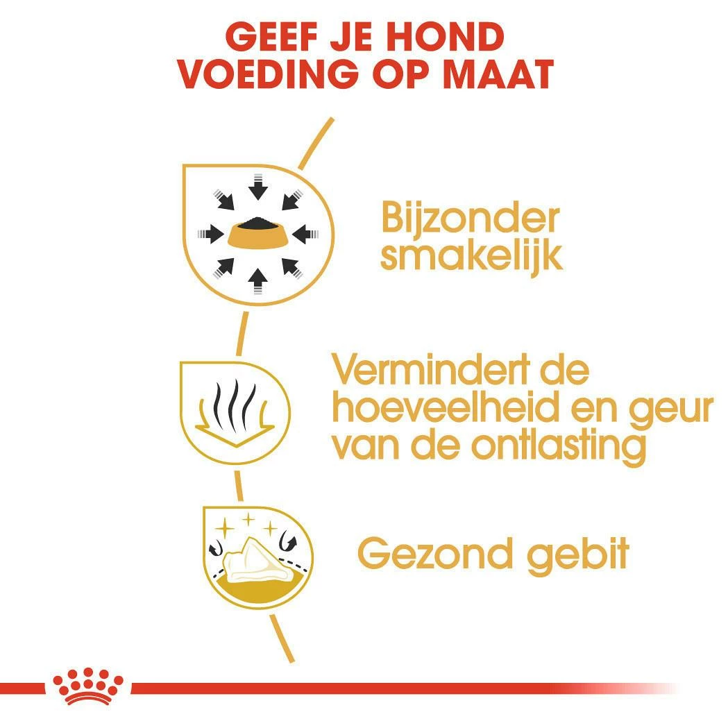 Royal Canin Hondenvoer Chihuahua Adult 1,5 Kg 3 Royal Canin Hondenvoer Chihuahua Adult 1,5 Kg - Afbeelding 3