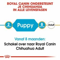 Royal Canin Hondenvoer Chihuahua Puppy 1,5 Kg -Goedkope DierenwereldXL winkel royal canin chihuahua junior pup hond chihuahua hero image 9