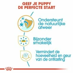Royal Canin Hondenvoer Chihuahua Puppy 1,5 Kg -Goedkope DierenwereldXL winkel royal canin chihuahua junior pup hond chihuahua hero usp