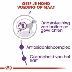 Royal Canin Hondenvoer Giant Adult 15 Kg 5 Royal Canin Hondenvoer Giant Adult 15 Kg -Goedkope DierenwereldXL winkel royal canin giant adult volwassen hond zeer grote hondenrassen hero usp