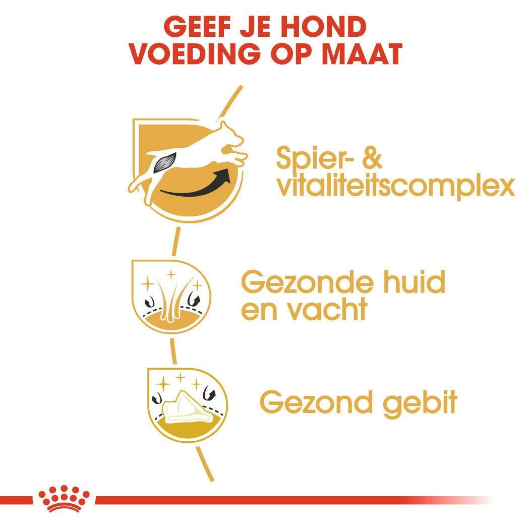 Royal Canin Hondenvoer Jack Russell Adult 1,5 Kg 3 Royal Canin Hondenvoer Jack Russell Adult 1,5 Kg - Afbeelding 3