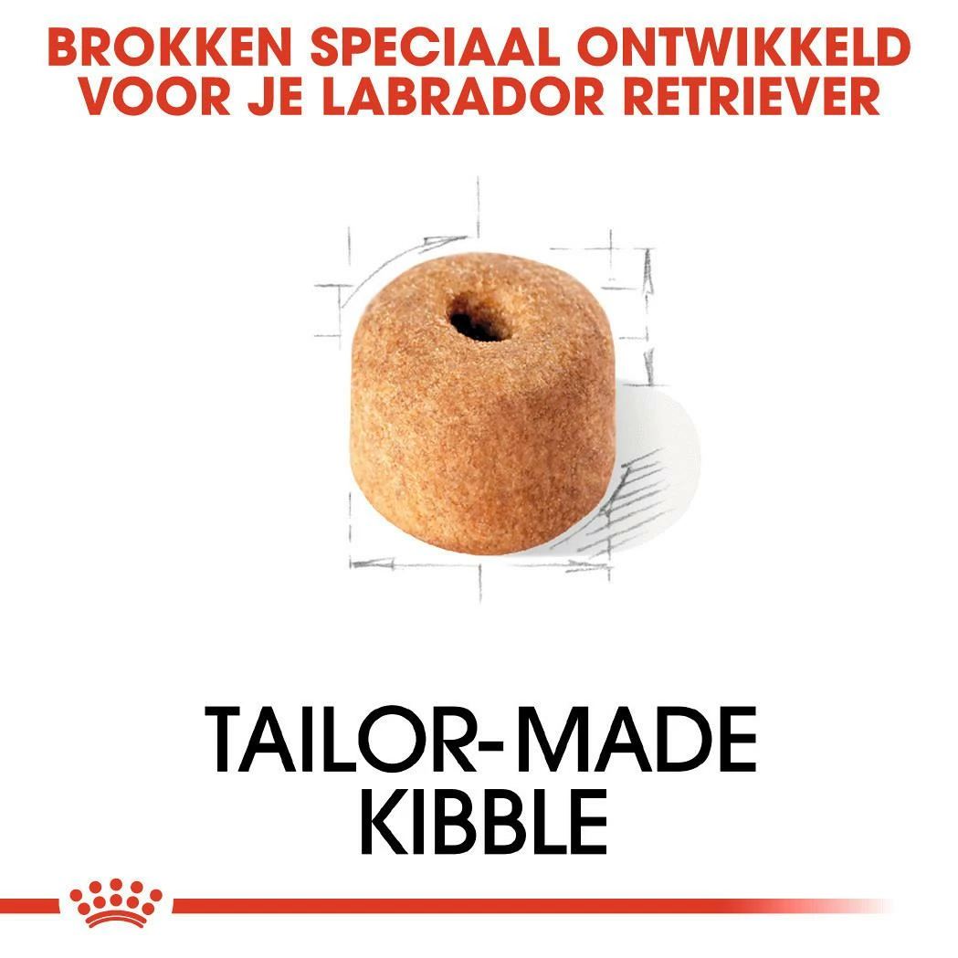 Royal Canin Hondenvoer Labrador Retriever Adult 12 Kg 2 Royal Canin Hondenvoer Labrador Retriever Adult 12 Kg - Afbeelding 2