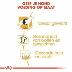 Royal Canin Hondenvoer Labrador Retriever Adult 12 Kg 5 Royal Canin Hondenvoer Labrador Retriever Adult 12 Kg -Goedkope DierenwereldXL winkel royal canin labrador retriever adult volwassen hond labrador retriever vanaf 15 maanden hero usp