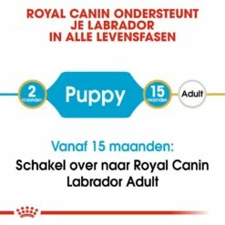 Royal Canin Hondenvoer Labrador Retriever Puppy 12 Kg -Goedkope DierenwereldXL winkel royal canin labrador retriever junior pup hond labrador retriever hero image 9
