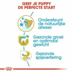 Royal Canin Hondenvoer Labrador Retriever Puppy 12 Kg -Goedkope DierenwereldXL winkel royal canin labrador retriever junior pup hond labrador retriever hero usp