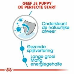 Royal Canin Hondenvoer Maxi Puppy 10 X 140 Gr 7 Royal Canin Hondenvoer Maxi Puppy 10 X 140 Gr -Goedkope DierenwereldXL winkel royal canin maxi puppy natvoer hond grote hondenrassen hero usp