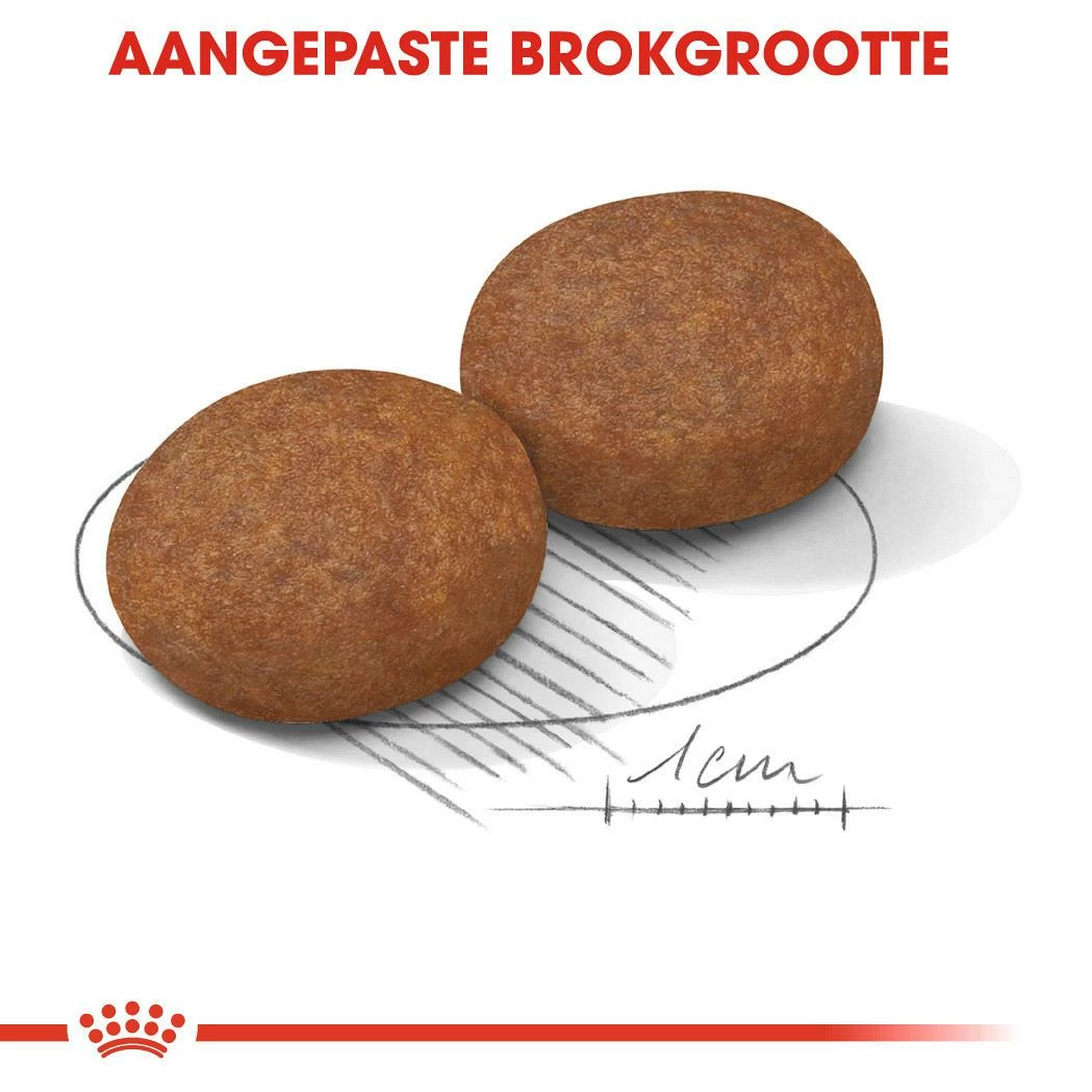 Royal Canin Hondenvoer Medium Adult 7+ 4 Kg 2 Royal Canin Hondenvoer Medium Adult 7+ 4 Kg - Afbeelding 2