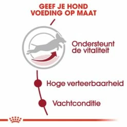 Royal Canin Hondenvoer Medium Adult 7+ 15 Kg -Goedkope DierenwereldXL winkel royal canin medium adult 7plus volwassen hond middelgrote hondenrassen vanaf 7 jaar hero usp 1