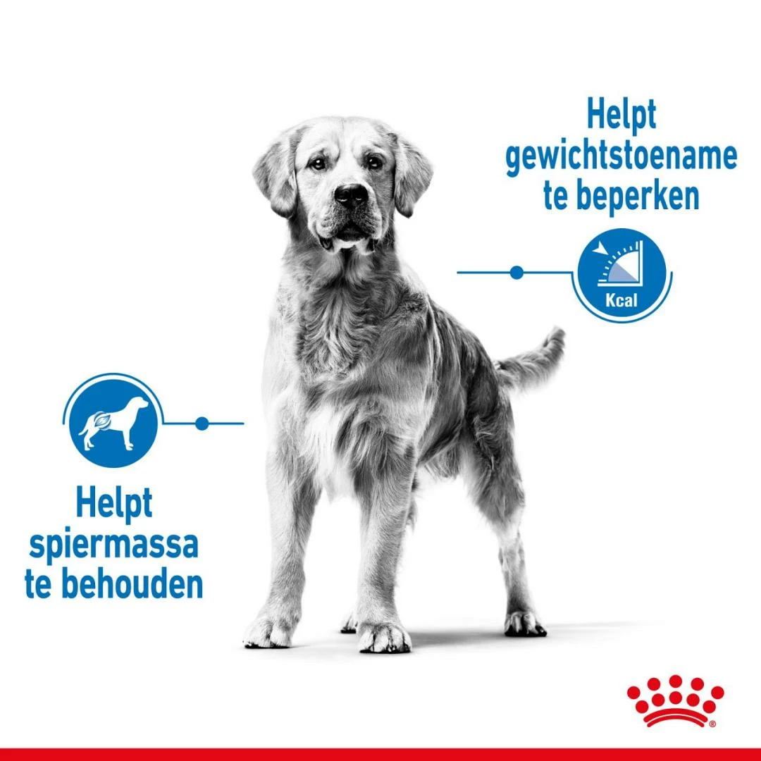 Royal Canin Hondenvoer Light Weight Care Medium 3 Kg 3 Royal Canin Hondenvoer Light Weight Care Medium 3 Kg - Afbeelding 3