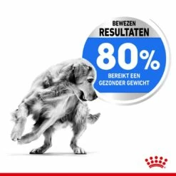 Royal Canin Hondenvoer Light Weight Care Medium 3 Kg 7 Royal Canin Hondenvoer Light Weight Care Medium 3 Kg -Goedkope DierenwereldXL winkel royal canin medium light weight care volwassen hond gewicht middelgrote hondenrassen hero usp