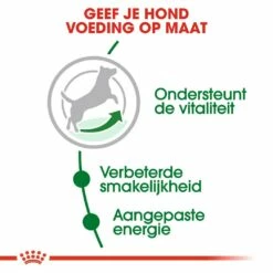 Royal Canin Hondenvoer Mini Adult 8+ 4 Kg -Goedkope DierenwereldXL winkel royal canin mini adult 8plus volwassen hond kleine hondenrassen vanaf 8 jaar hero usp