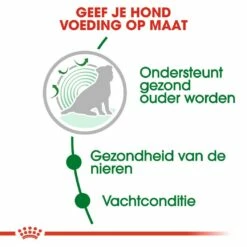 Royal Canin Hondenvoer Mini Ageing 12+ 1,5 Kg -Goedkope DierenwereldXL winkel royal canin mini ageing 12plus senior hond oudere hond vanaf 12 jaar hero usp