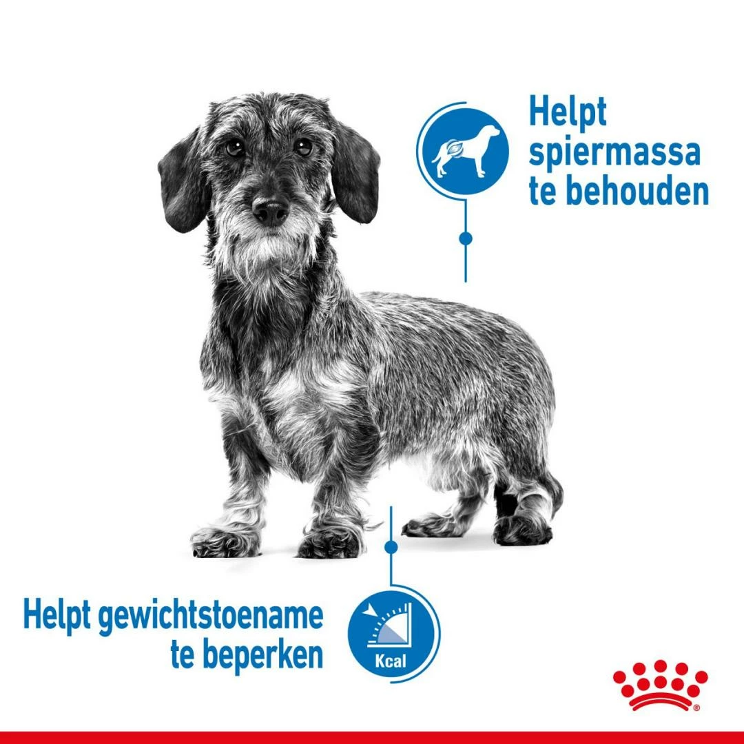 Royal Canin Hondenvoer Light Weight Care Mini 3 Kg 3 Royal Canin Hondenvoer Light Weight Care Mini 3 Kg - Afbeelding 3