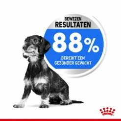 Royal Canin Hondenvoer Light Weight Care Mini 3 Kg 7 Royal Canin Hondenvoer Light Weight Care Mini 3 Kg -Goedkope DierenwereldXL winkel royal canin mini light weight care volwassen hond gezond gewicht kleine hondenrassen hero usp