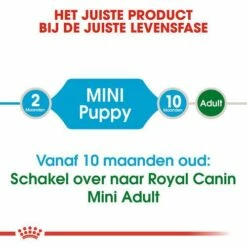 Royal Canin Hondenvoer Mini Puppy 4 Kg 7 Royal Canin Hondenvoer Mini Puppy 4 Kg -Goedkope DierenwereldXL winkel royal canin mini puppy pup hond kleine hondenrassen hero image 8
