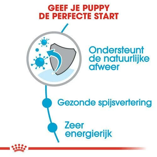 Royal Canin Hondenvoer Mini Puppy 4 Kg 3 Royal Canin Hondenvoer Mini Puppy 4 Kg - Afbeelding 3