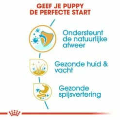 Royal Canin Hondenvoer Shih Tzu Puppy 1,5 Kg -Goedkope DierenwereldXL winkel royal canin shih tzu junior pup hond shih tzu hero usp