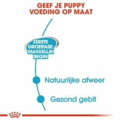 Royal Canin Hondenvoer Starter Mousse 12 X 195 Gr -Goedkope DierenwereldXL winkel royal canin starter mousse mother babydog pup hond natuurlijke afweer tijdens dracht hero usp