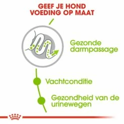 Royal Canin Hondenvoer X-Small Adult 1,5 Kg -Goedkope DierenwereldXL winkel royal canin x small adult volwassen hond zeer kleine hondenrassen hero usp