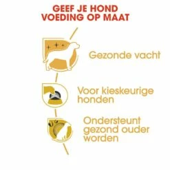 Royal Canin Hondenvoer Yorkshire Terrier Adult 1,5 Kg 5 Royal Canin Hondenvoer Yorkshire Terrier Adult 1,5 Kg -Goedkope DierenwereldXL winkel royal canin yorkshire terrier adult volwassen hond yorkshire terrier vanaf 10 maanden hero usp