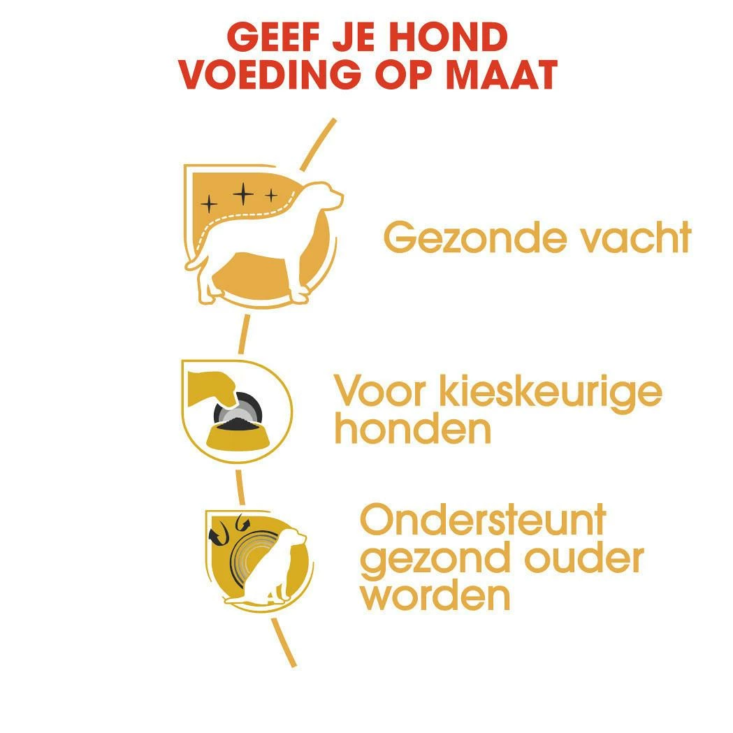 Royal Canin Hondenvoer Yorkshire Terrier Adult 1,5 Kg 3 Royal Canin Hondenvoer Yorkshire Terrier Adult 1,5 Kg - Afbeelding 3